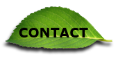 Contact Button