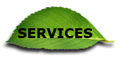 Services Button